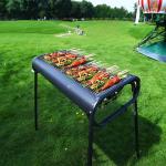 باربيكيو و منقل للنزهات - 1