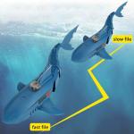 سمك القرش مع جهاز تحكم	 - 7